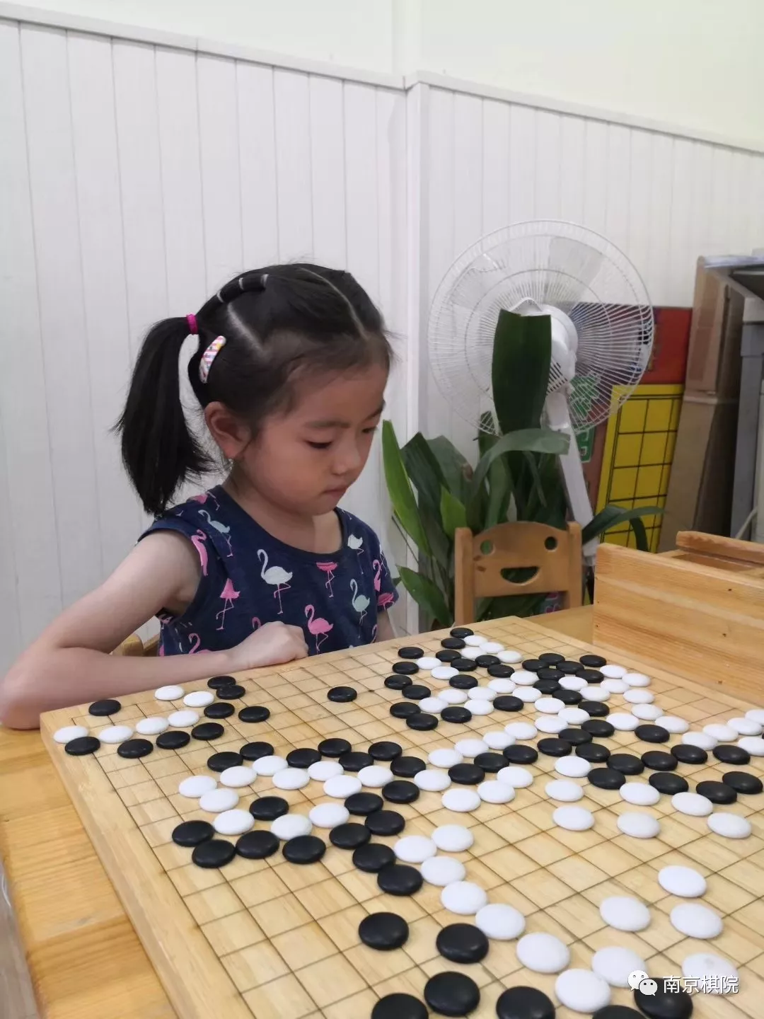 少儿围棋 少儿围棋